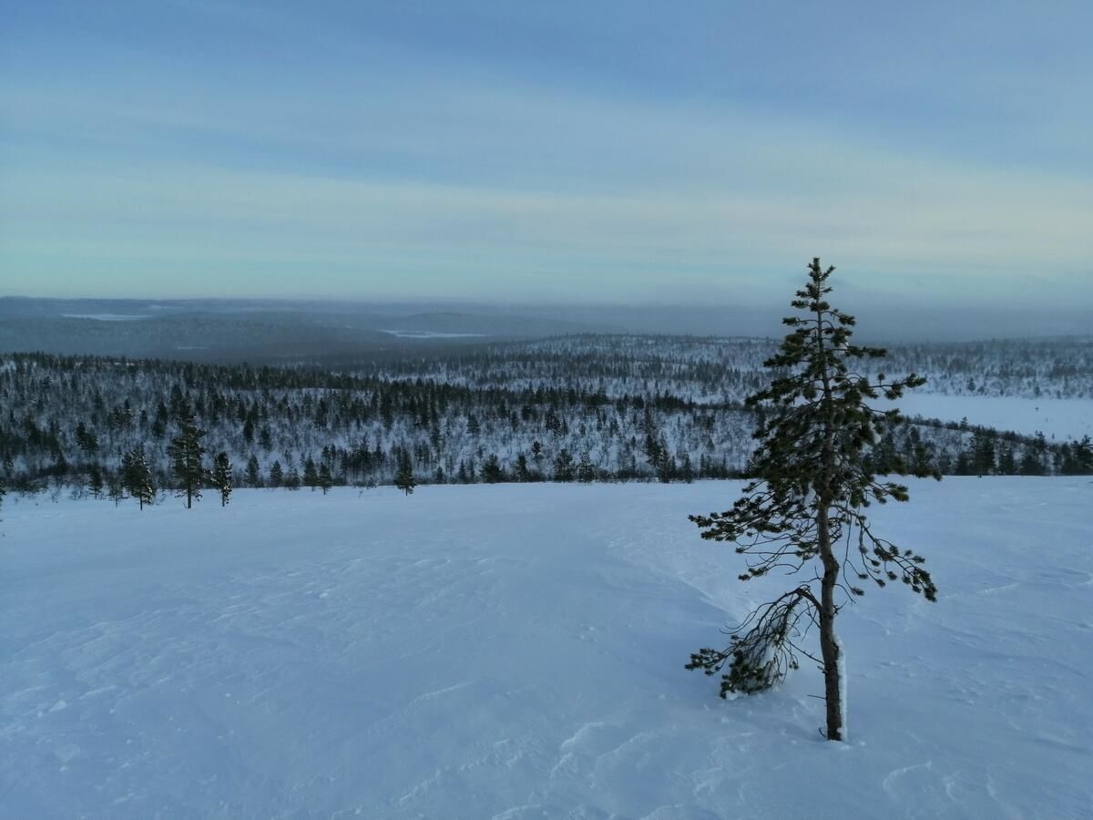 Кемпинги Lemmenjoki Camping EcoCabins Lemmenjoki-11